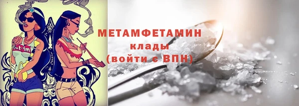 шишки Сосновый Бор