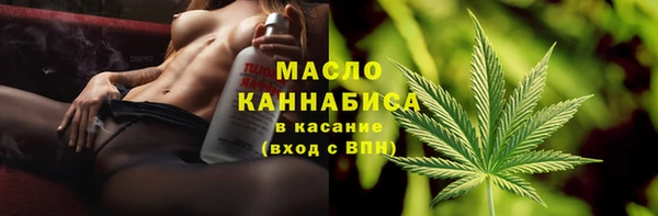 шишки Сосновый Бор