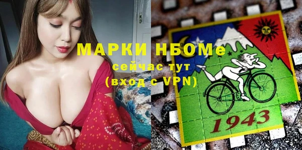 шишки Сосновый Бор