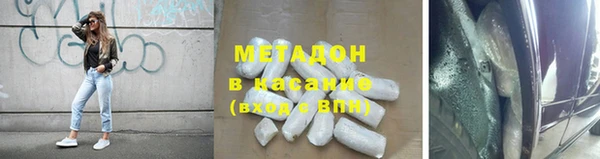шишки Сосновый Бор