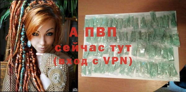 шишки Сосновый Бор