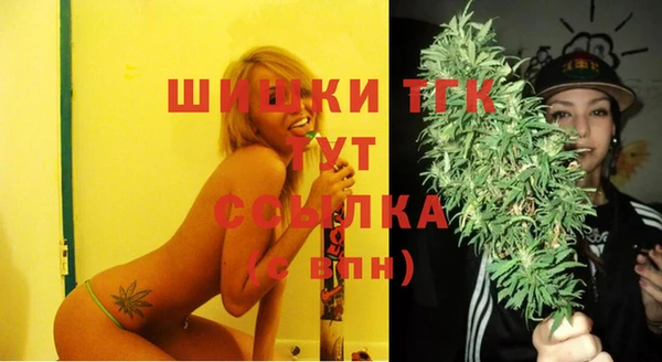 шишки Сосновый Бор