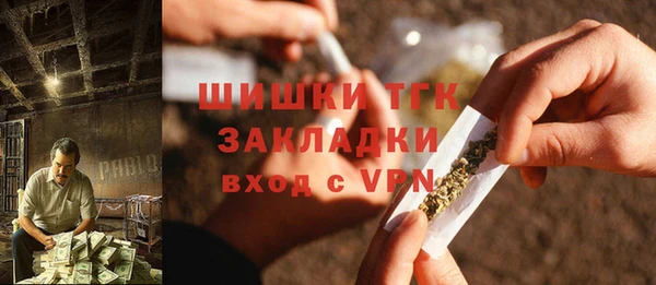 СК Струнино