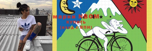 шишки Сосновый Бор